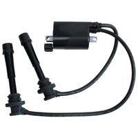 BRP Qualifies for Free Shipping BRP Coil #5033823