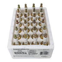BRP Qualifies for Free Shipping BRP Spark Plug QC10WEP 24-pk #770434