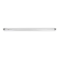 Camco Qualifies for Free Shipping Camco Bulb F15T8CW Fluorescent 2-pk #54878