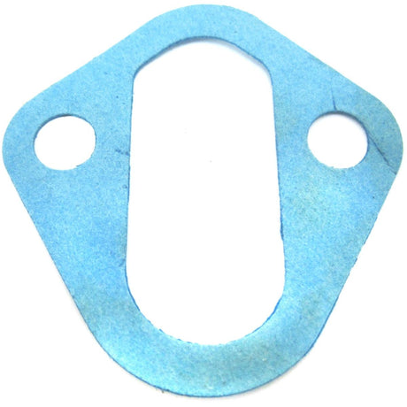 Chrysler Qualifies for Free Shipping Chrysler Fuel Pump Gasket #2843770