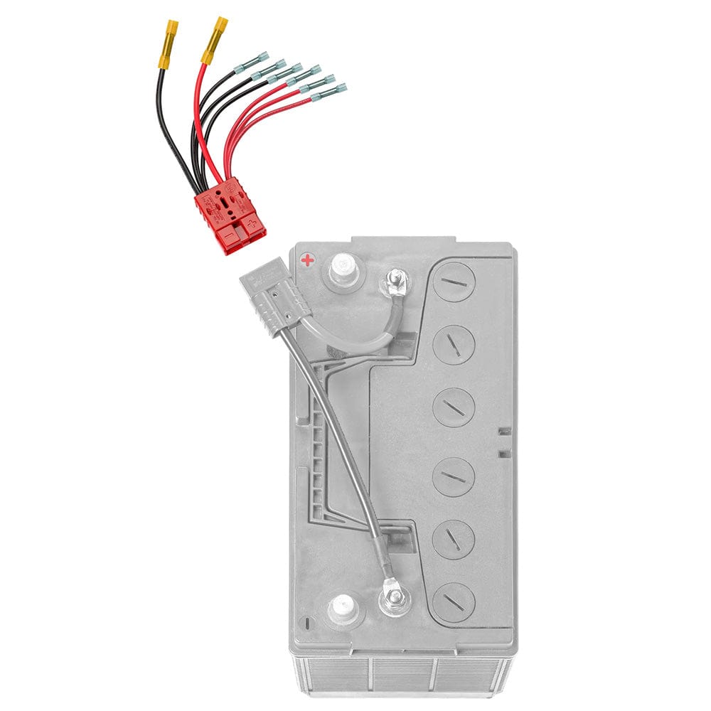 Connect-Ease Qualifies for Free Shipping Connect-Ease Mutli 4 Lead Accessory for Main Battery #RCE12VB4