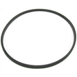 Crusader Qualifies for Free Shipping Crusader 1/8" Square Edge O-Ring #20156