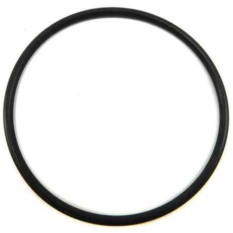 Crusader Not Qualified for Free Shipping Crusader O-Ring Canister Seal #R047214