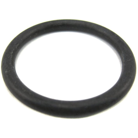 Crusader Qualifies for Free Shipping Crusader Remote Filter In O-Ring #22802