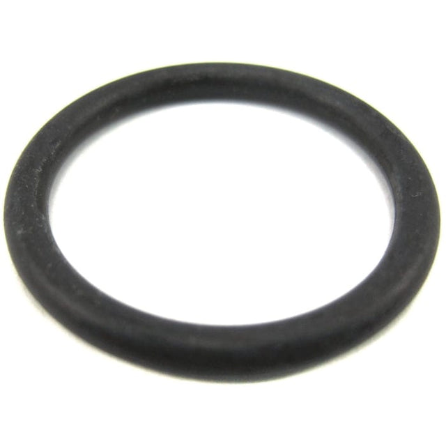 Crusader Qualifies for Free Shipping Crusader Remote Filter In O-Ring #22802