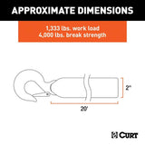 CURT Qualifies for Free Shipping CURT 2" 20' Nylon Winch Strap #29007