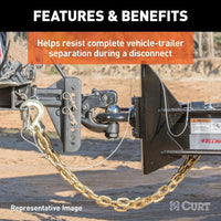 CURT Qualifies for Free Shipping CURT Safety Chain with 1 Clevis Hook #80303