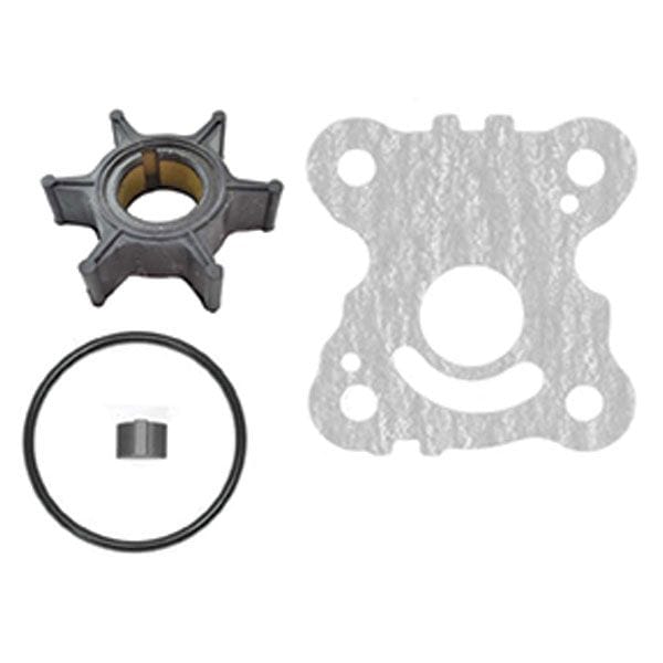 EMP Qualifies for Free Shipping EMP Water Pump Repair Kit #46-46613