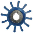 Globe Qualifies for Free Shipping Globe 625 Blue Impeller Keyway 12-Blades #01-12-1480