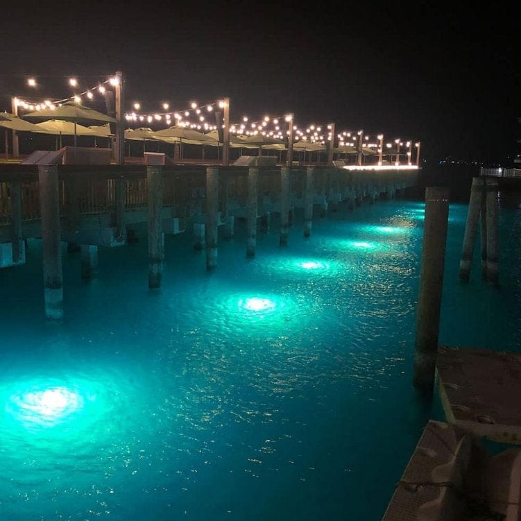 Hydro Glow Qualifies for Free Shipping Hydro Glow 100w 120v AC Underwater Dock Light Blue #SF100B