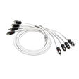 JL Audio Qualifies for Free Shipping JL Audio 6' 4-Channel Audio Interconnect Cable #010-13473-00