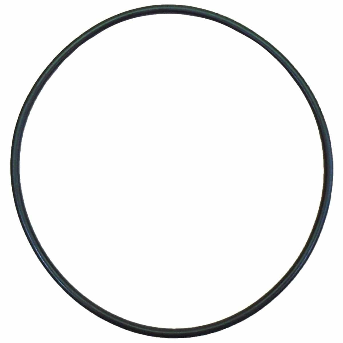 Johnson Pump Qualifies for Free Shipping Johnson Pumps O-Ring #0.2173.476