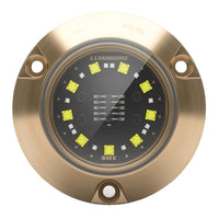 Lumishore Qualifies for Free Shipping Lumishore Eclipse SMX24 Single Surface Mount Underwater Light Blue/White #010-04504-00