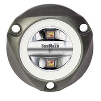 Lumitec Qualifies for Free Shipping Lumitec Seablaze Mini Spectrum RGBW #101832