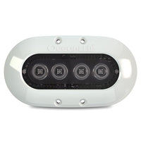 OceanLED Qualifies for Free Shipping Ocean LED X4 Colors White Bezel #012312C