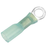 Pacer Group Qualifies for Free Shipping Pacer 16-14 #10 Heat Shrink Ring Terminal 3-pk #TE14-10R-3