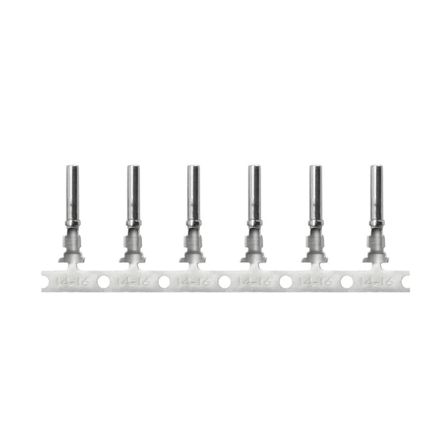 Pacer Group Qualifies for Free Shipping Pacer DT Deutsch Socket for 14 AWG Plug Size 16 Contact #T14DT-S-100