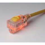 ParkPower Qualifies for Free Shipping ParkPower Locking Extension Cord 50' 15a #150050RV