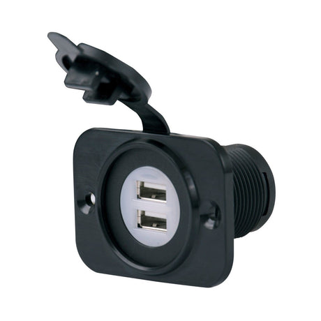 ParkPower Qualifies for Free Shipping ParkPower Receptacle Dual 12-24v/USB Black #12VDUSBRV