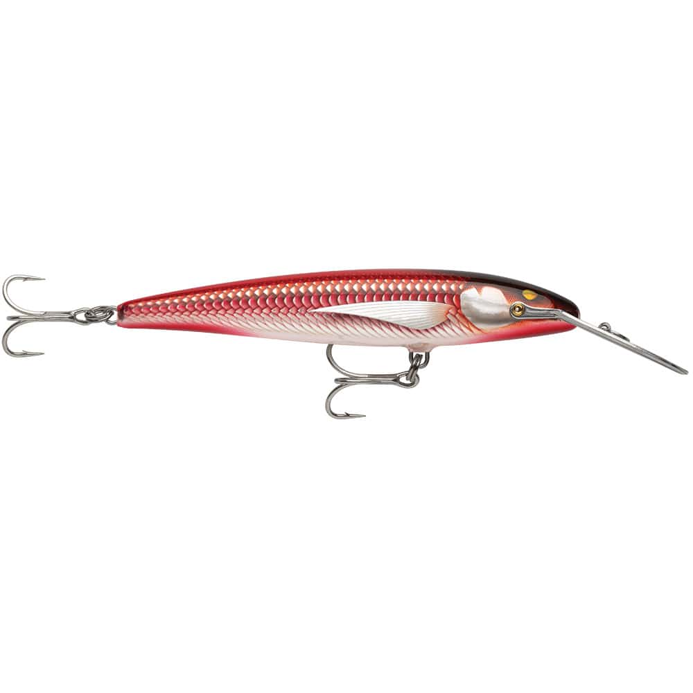 Rapala Not Qualified for Free Shipping Rapala Countdown Magnum Elite 145 Armored Real Red Bait #CDMAGE145AMRRB