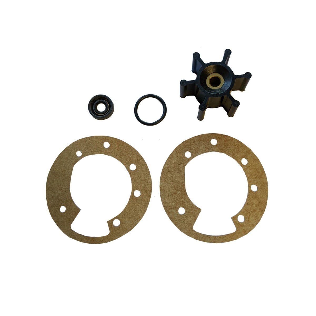 Raritan Qualifies for Free Shipping Raritan Macerator Pump Repair Kit #53100RK