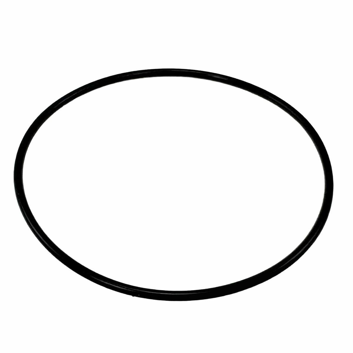 Raritan Qualifies for Free Shipping Raritan Seal Plate Front Cover O-Ring #161107