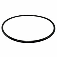 Raritan Qualifies for Free Shipping Raritan Seal Plate Front Cover O-Ring #161107