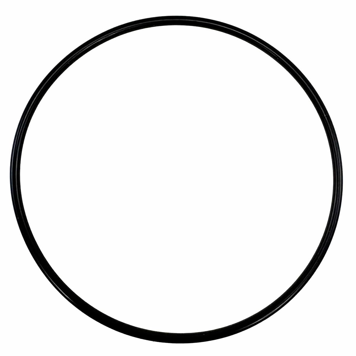 Raritan Qualifies for Free Shipping Raritan Seal Plate Front Cover O-Ring #161107
