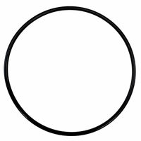 Raritan Qualifies for Free Shipping Raritan Seal Plate Front Cover O-Ring #161107