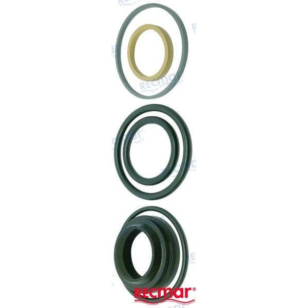 Recmar Qualifies for Free Shipping Recmar Piston Trim Repair Kit DPS-A SX-A #REC22172