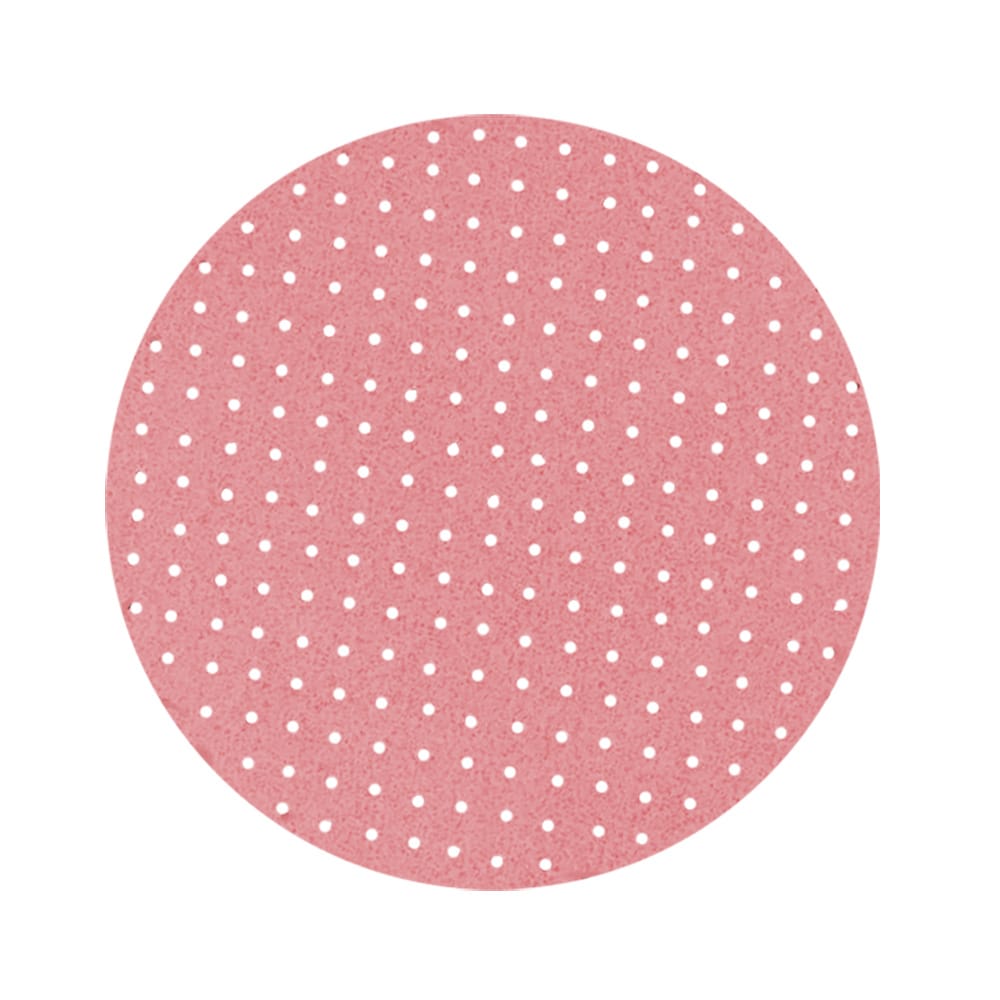 RUPES Qualifies for Free Shipping RUPES Wet & Dry Finish Multi-Hole Abrasive Discs 20-pk #9.45SC3000
