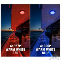 Scandvik Qualifies for Free Shipping Scandvik LED Dome Light 6-3/4