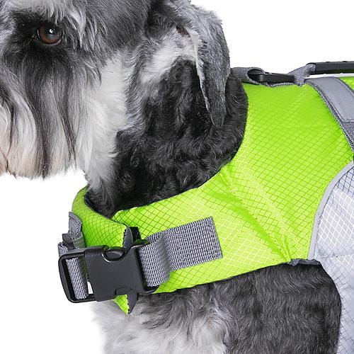 Seachoice Qualifies for Free Shipping Seachoice Dog Life Vest XS 4-10 lb Green #86281