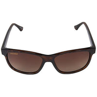 Seachoice Qualifies for Free Shipping Seachoice Sunglasses Oceanbreeze Shiny Tortoise/Brown Gradient #98833