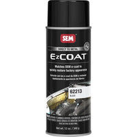 SEM Products Qualifies for Free Shipping SEM Ez Coat 16 oz Aerosol Can Black #62213