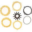 Sherwood Qualifies for Free Shipping Sherwood 12 Blade Sherwood Impeller Kit #10615K-SHW