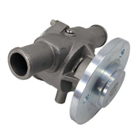 Sherwood Qualifies for Free Shipping Sherwood P110 Raw Water Pump #SH-P-110