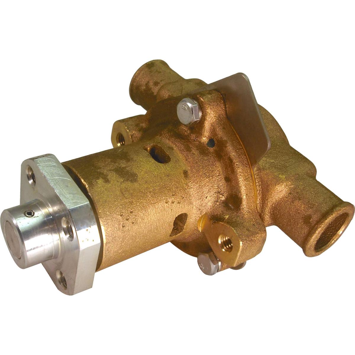 Sherwood Qualifies for Free Shipping Sherwood Raw Water Pump #G30-2B