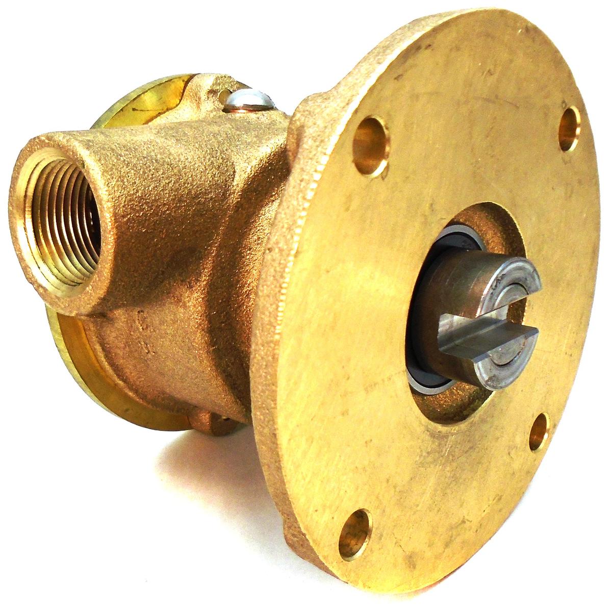 Sherwood Qualifies for Free Shipping Sherwood Raw Water Pump #G65