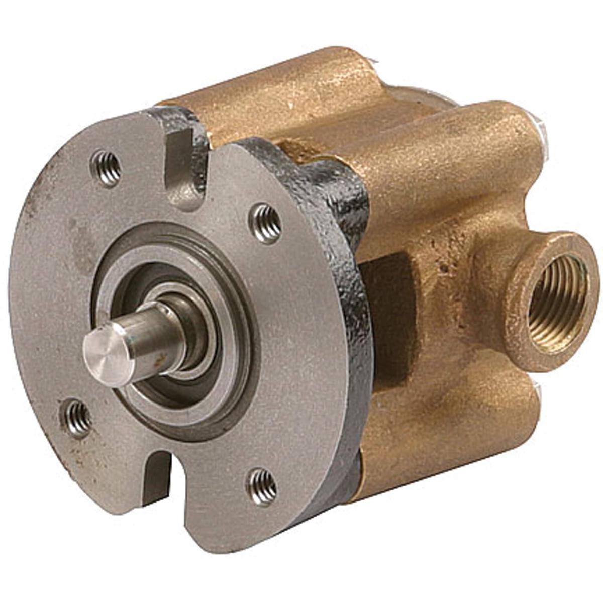 Sherwood Qualifies for Free Shipping Sherwood Raw Water Pump #G8001