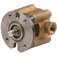 Sherwood Qualifies for Free Shipping Sherwood Raw Water Pump #G8001