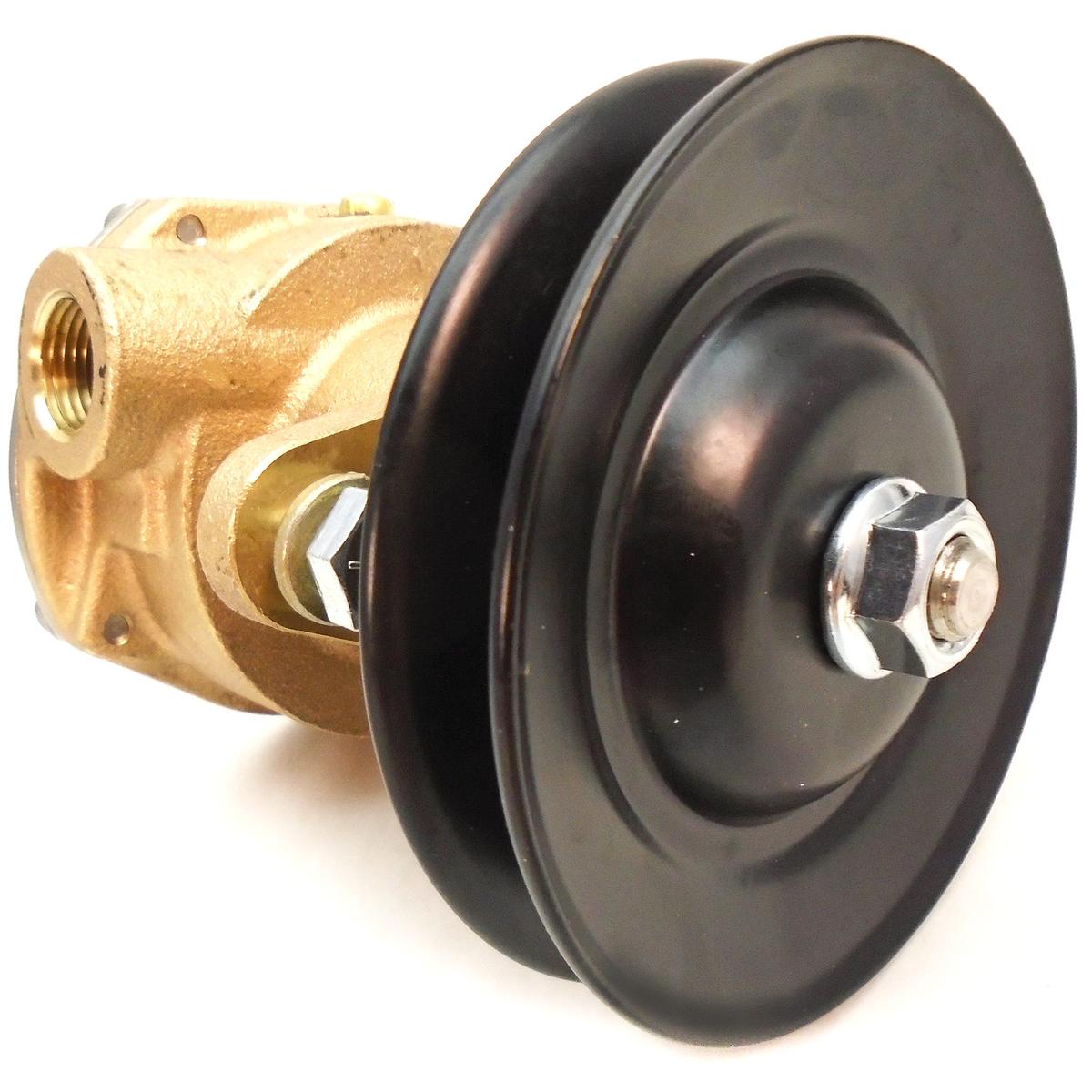 Sherwood Qualifies for Free Shipping Sherwood Raw Water Pump #G907P