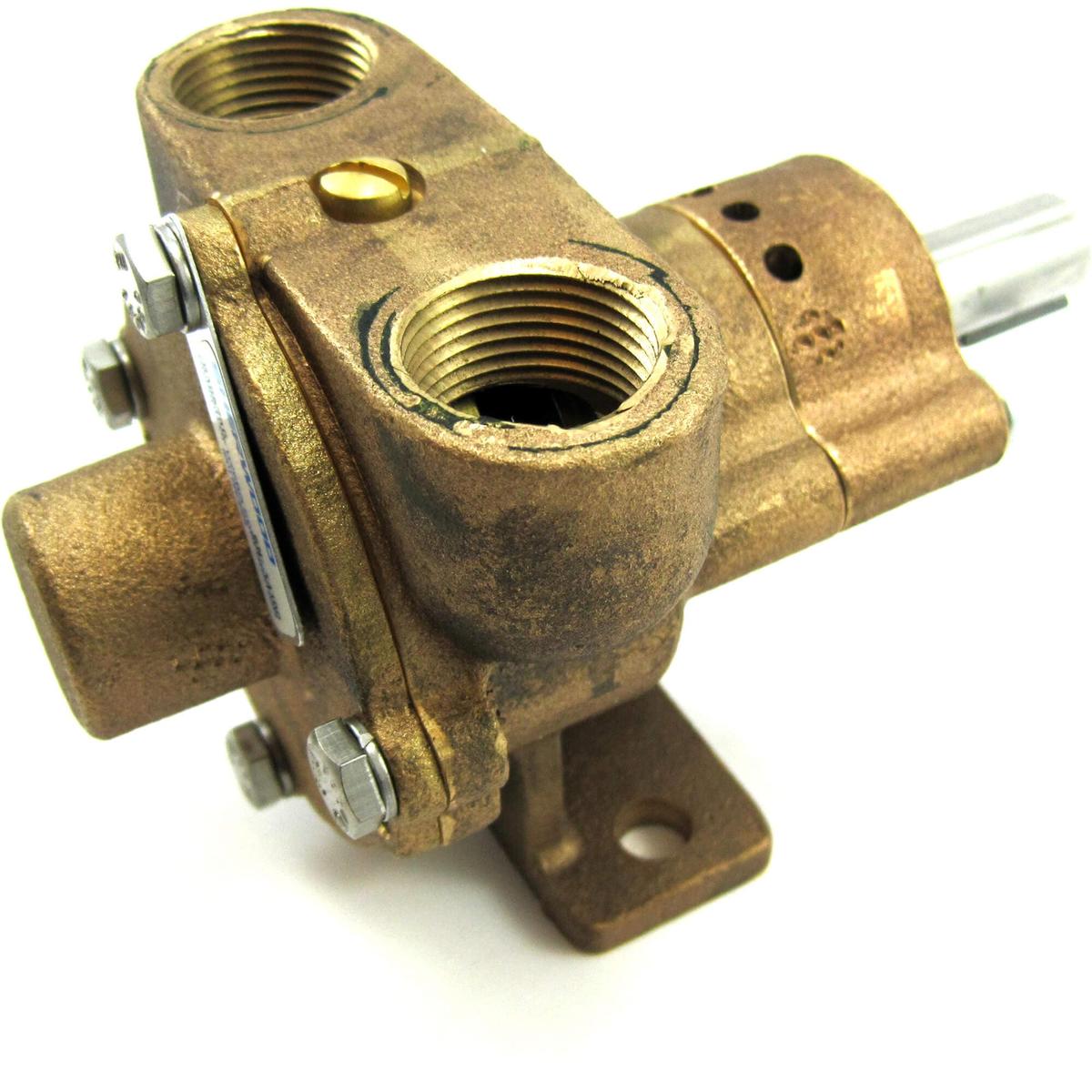 Sherwood Qualifies for Free Shipping Sherwood Raw Water Pump #R10870G