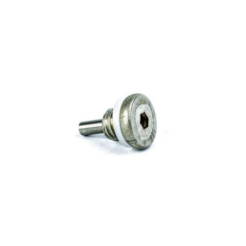Sierra Not Qualified for Free Shipping Sierra E-Tec Drain Screw with Magnet #18-4249