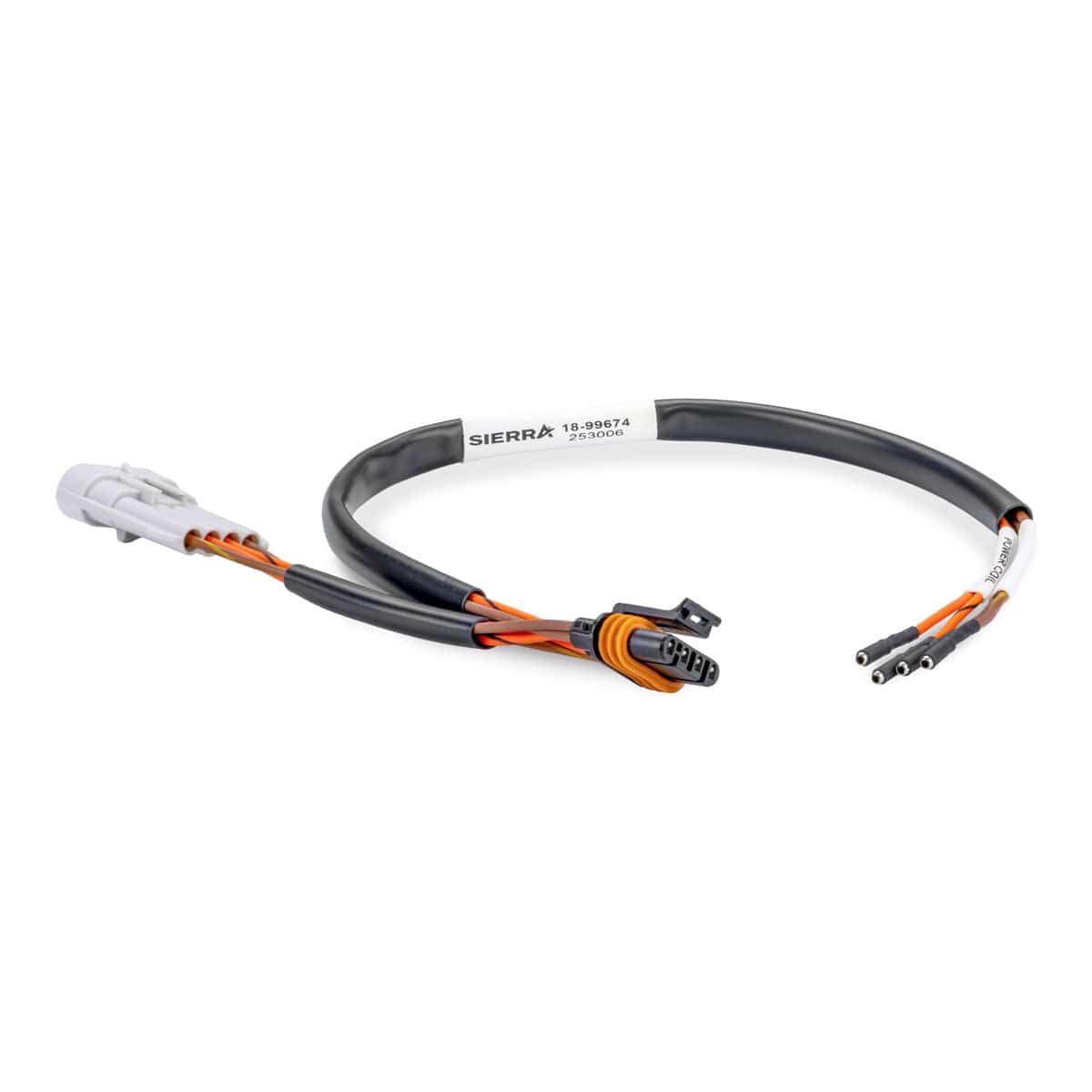 Sierra Qualifies for Free Shipping Sierra Test Harness Johnson Evinrude #18-99674