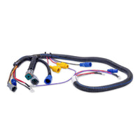 Sierra Qualifies for Free Shipping Sierra Wiring Harness Johnson/Evinrude 4-Cylinder #18-99619