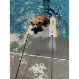Solstice Qualifies for Free Shipping Solstice Inflatable Pup Plank Mini 34.5" x 24.5" x 3" #33424
