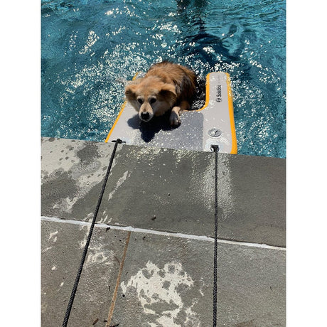 Solstice Qualifies for Free Shipping Solstice Inflatable Pup Plank Mini 34.5" x 24.5" x 3" #33424