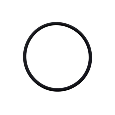 Suzuki Marine Qualifies for Free Shipping Suzuki Marine Fuel Filter O-Ring #15415-92J00