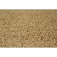 Syntec Not Qualified for Free Shipping Syntec Aggressor Exterior Marine Carpet 8' x 25' 16 oz Sand #AG16601296